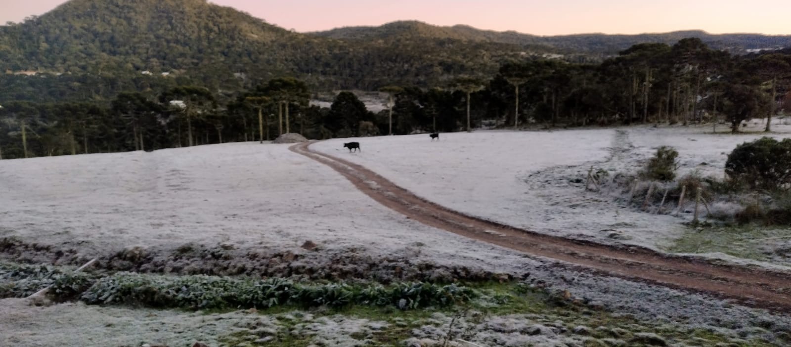 Terreno à venda, 20000m² - Foto 1