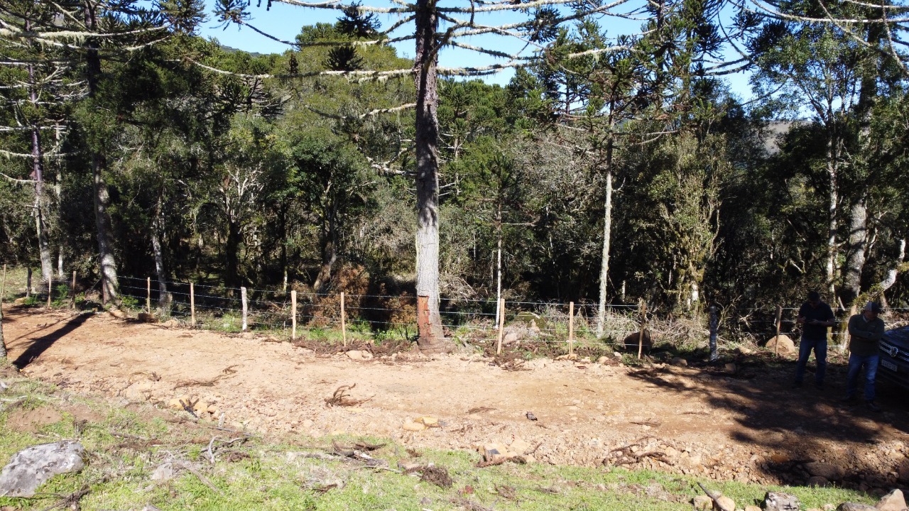 Terreno à venda, 20000m² - Foto 5