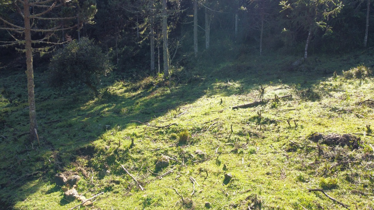 Terreno à venda, 20000m² - Foto 6