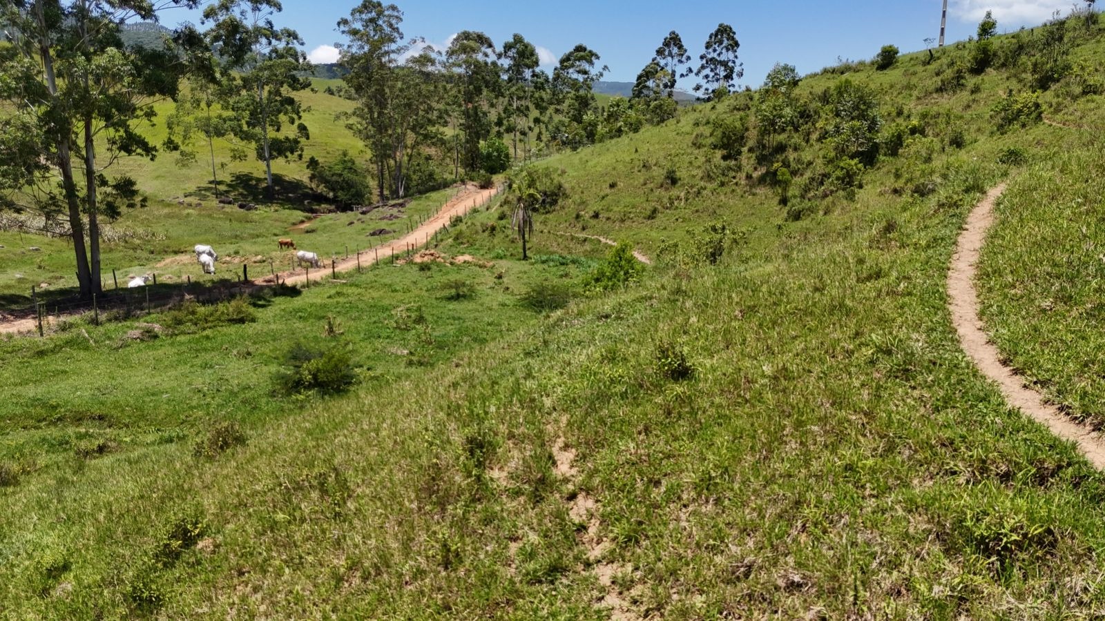 Terreno à venda, 40000m² - Foto 7