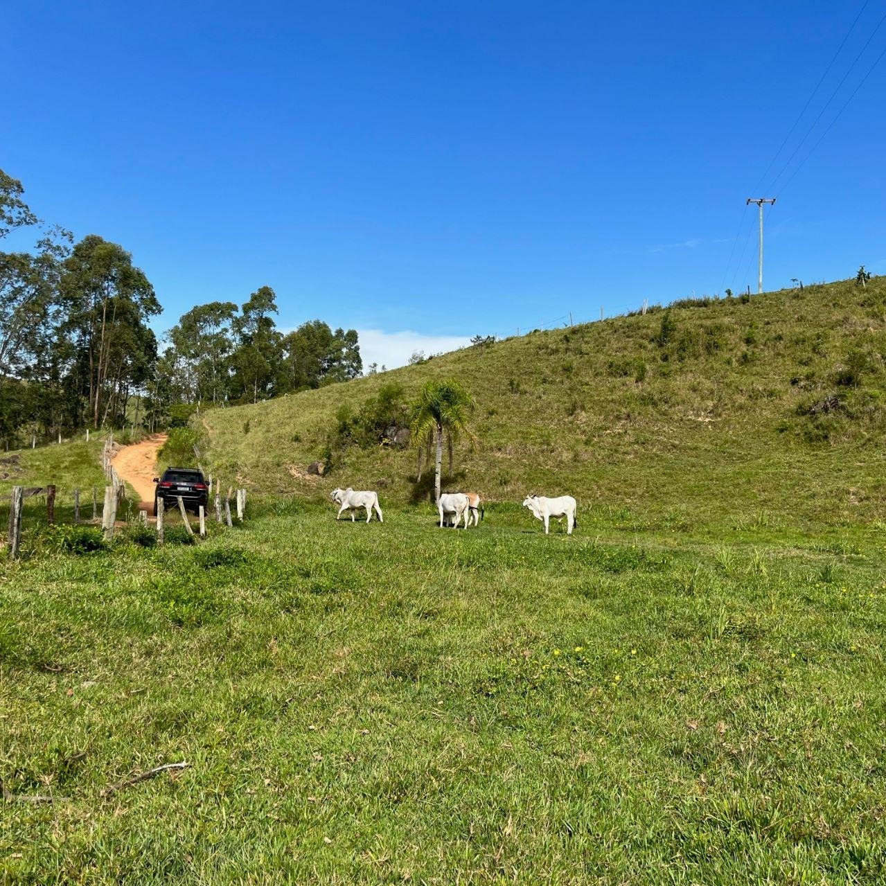 Terreno à venda, 40000m² - Foto 11