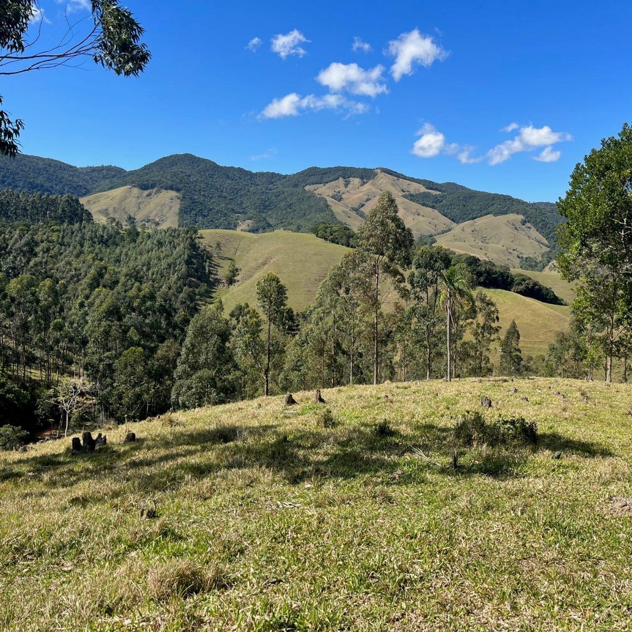 Terreno à venda, 40000m² - Foto 9