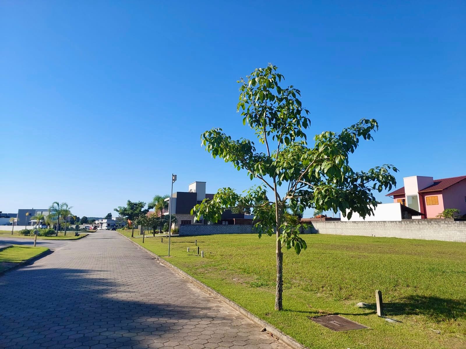 Terreno, 450 m² - Foto 1