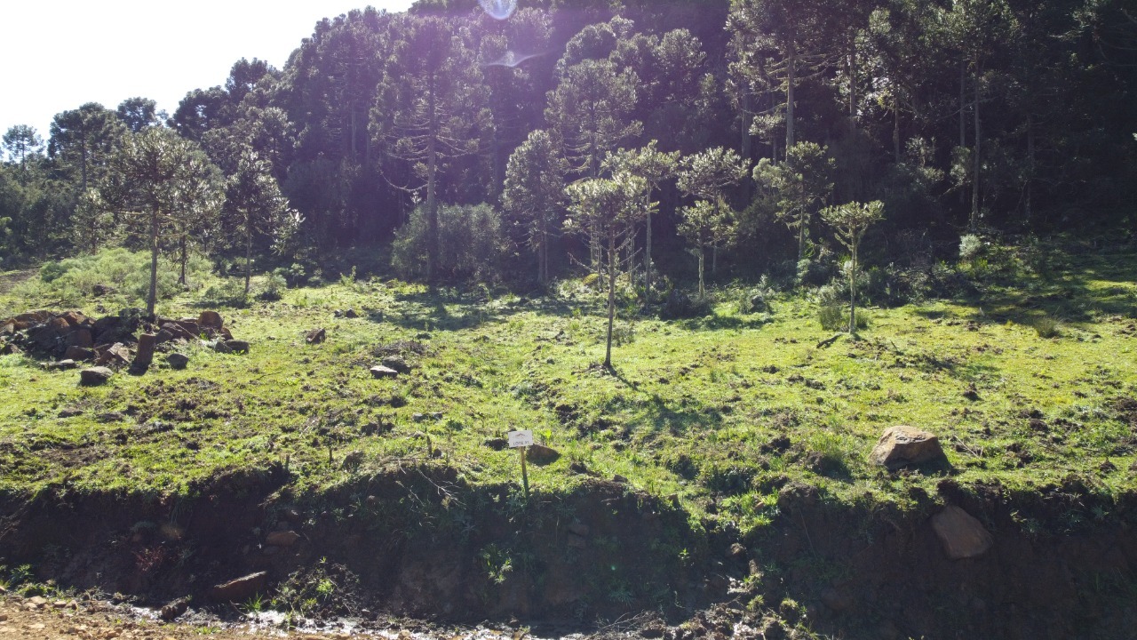 Terreno, 20000 m² - Foto 10