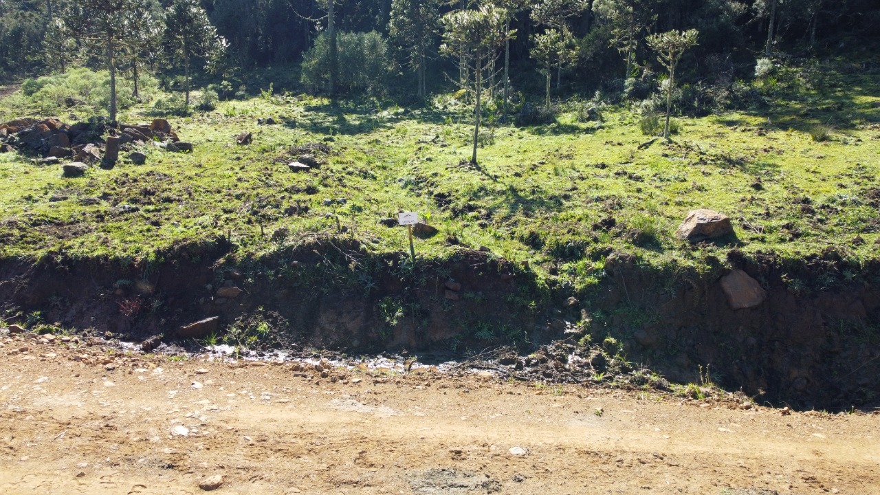 Terreno, 20000 m² - Foto 11