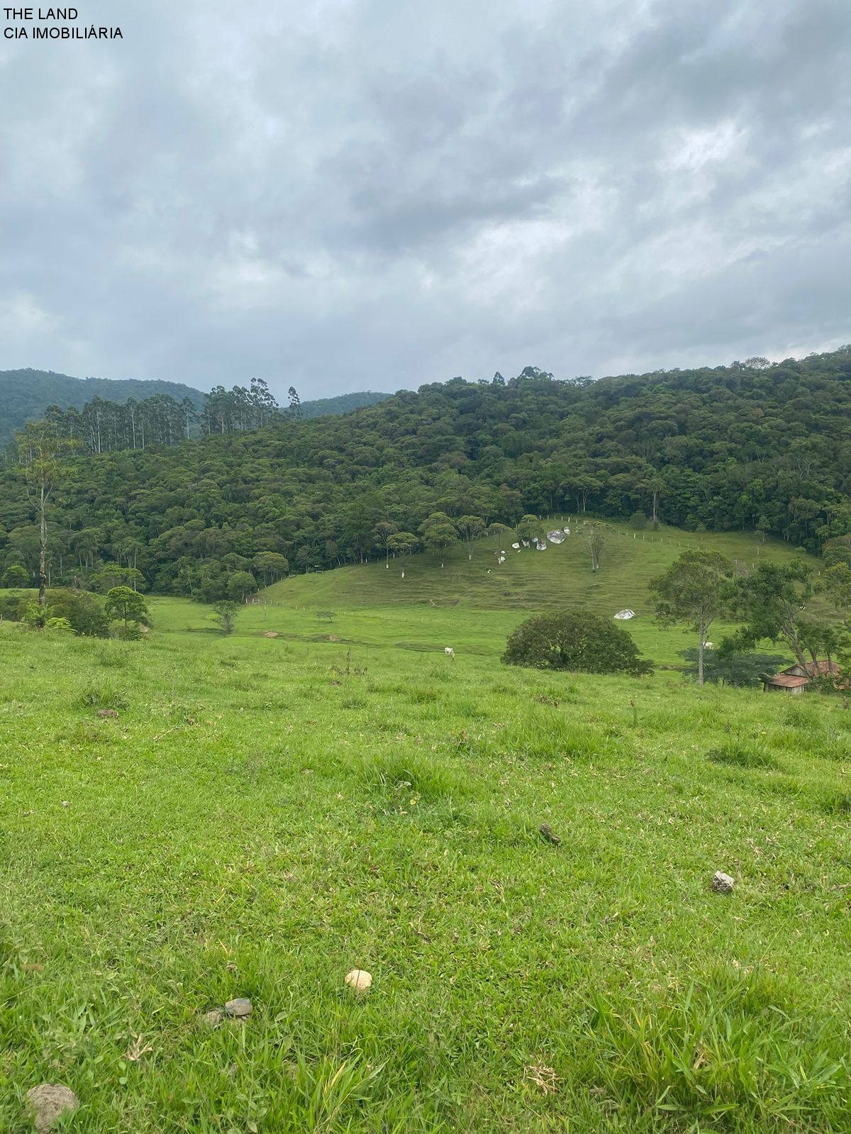 Terreno - Foto 9
