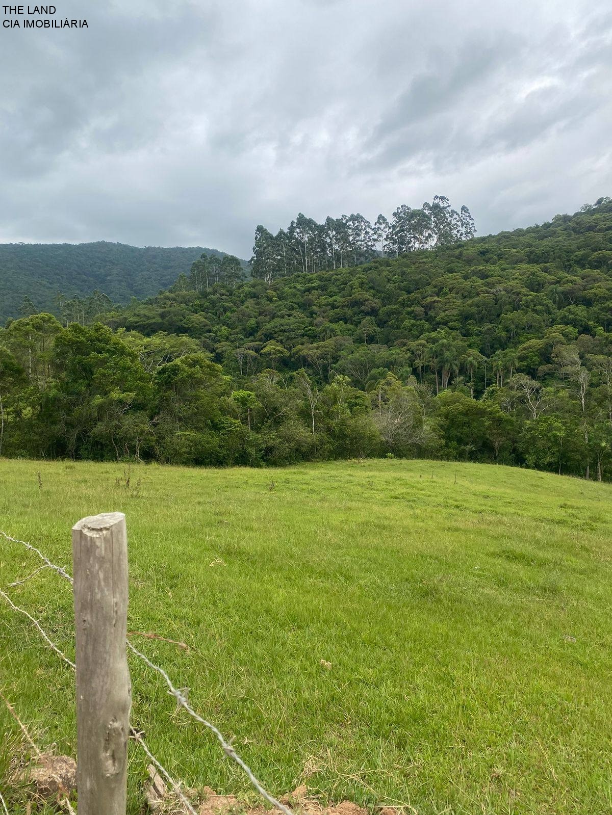 Terreno - Foto 6