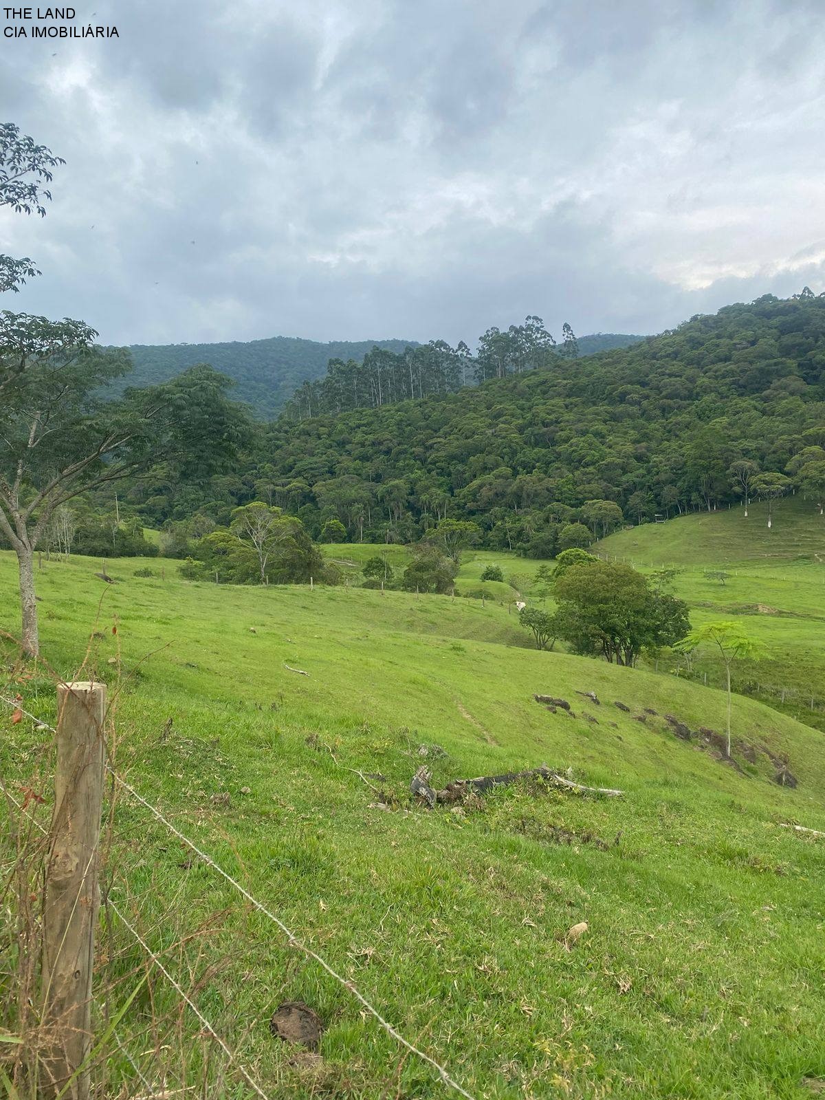 Terreno - Foto 11