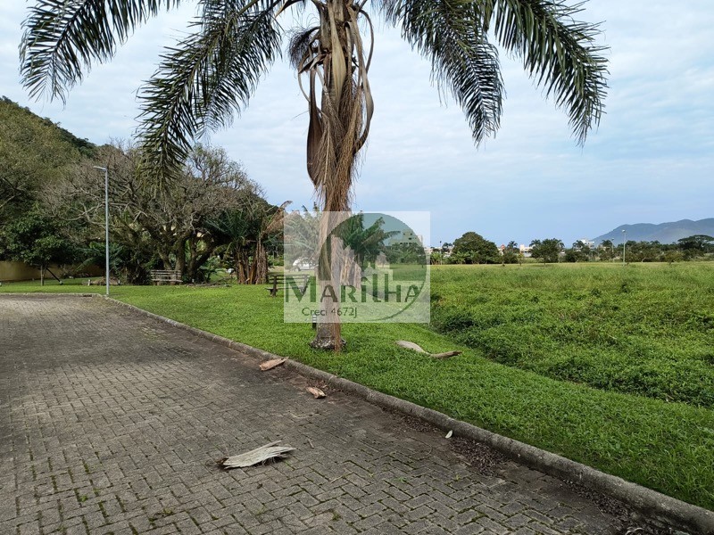 Terreno, 4456 m² - Foto 9