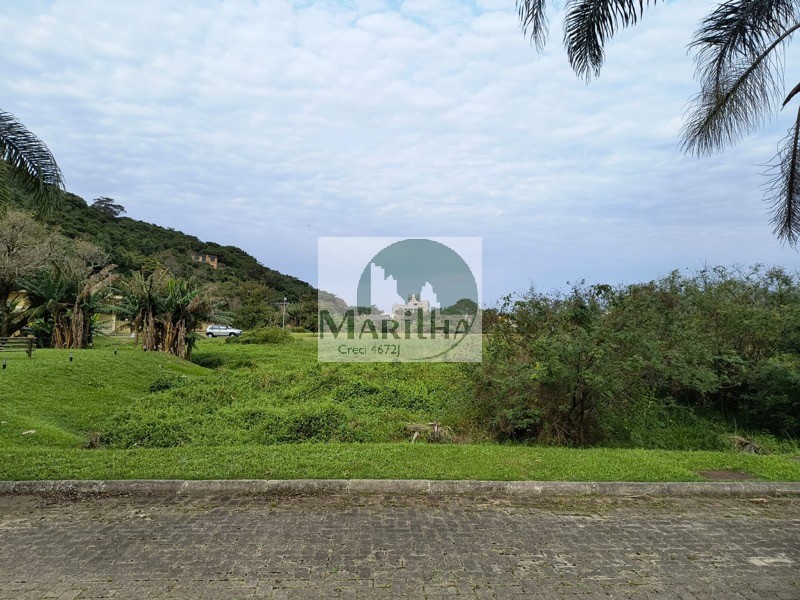 Terreno, 4456 m² - Foto 8