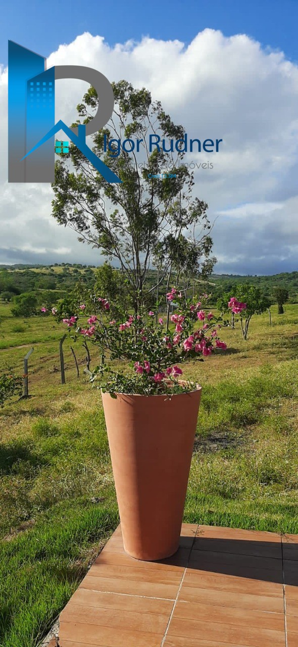 Fazenda à venda com 5 quartos, 7m² - Foto 33