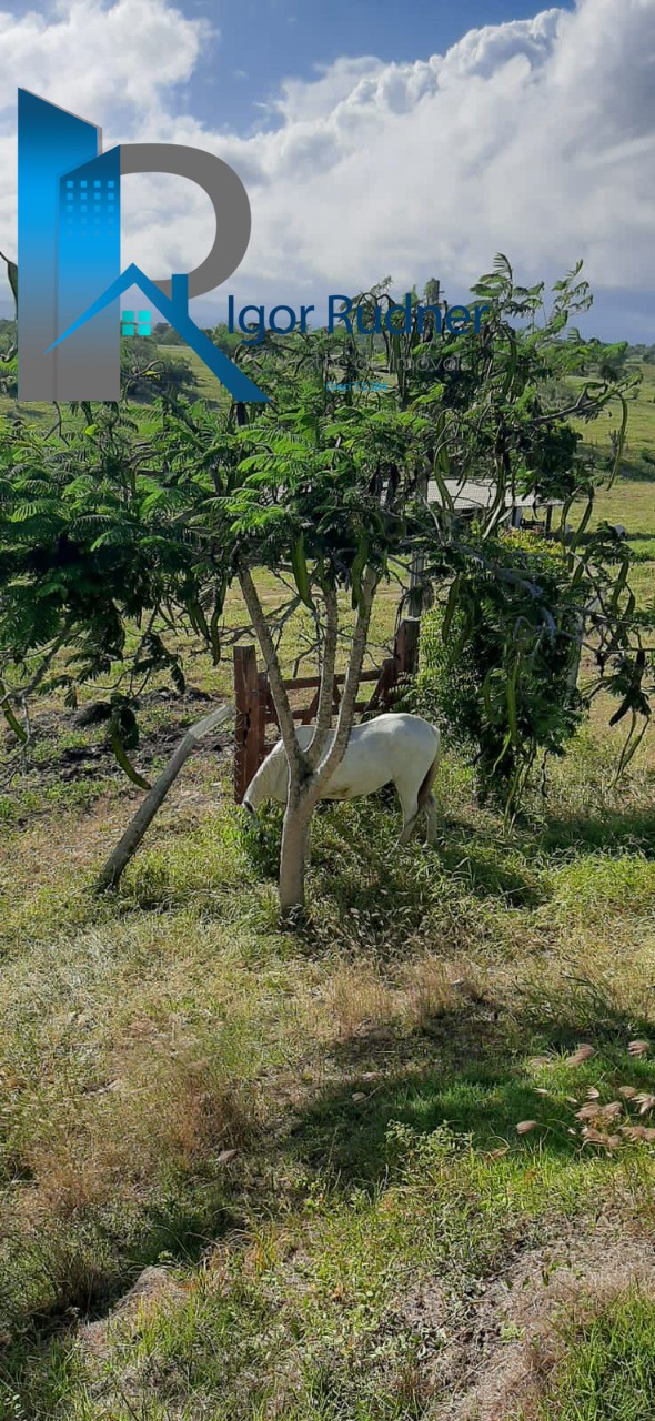 Fazenda à venda com 5 quartos, 7m² - Foto 36