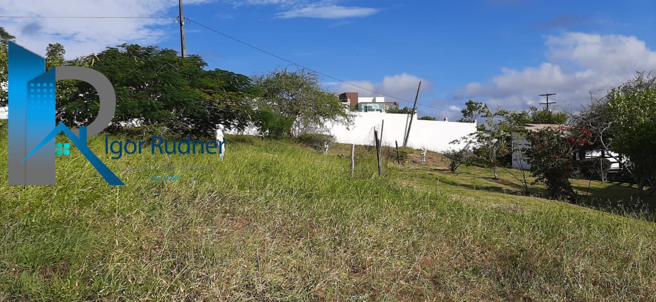 Fazenda à venda com 5 quartos, 7m² - Foto 35