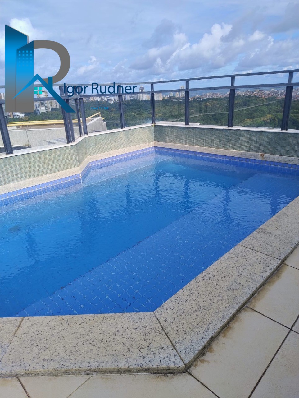 Cobertura, 4 quartos, 490 m² - Foto 23