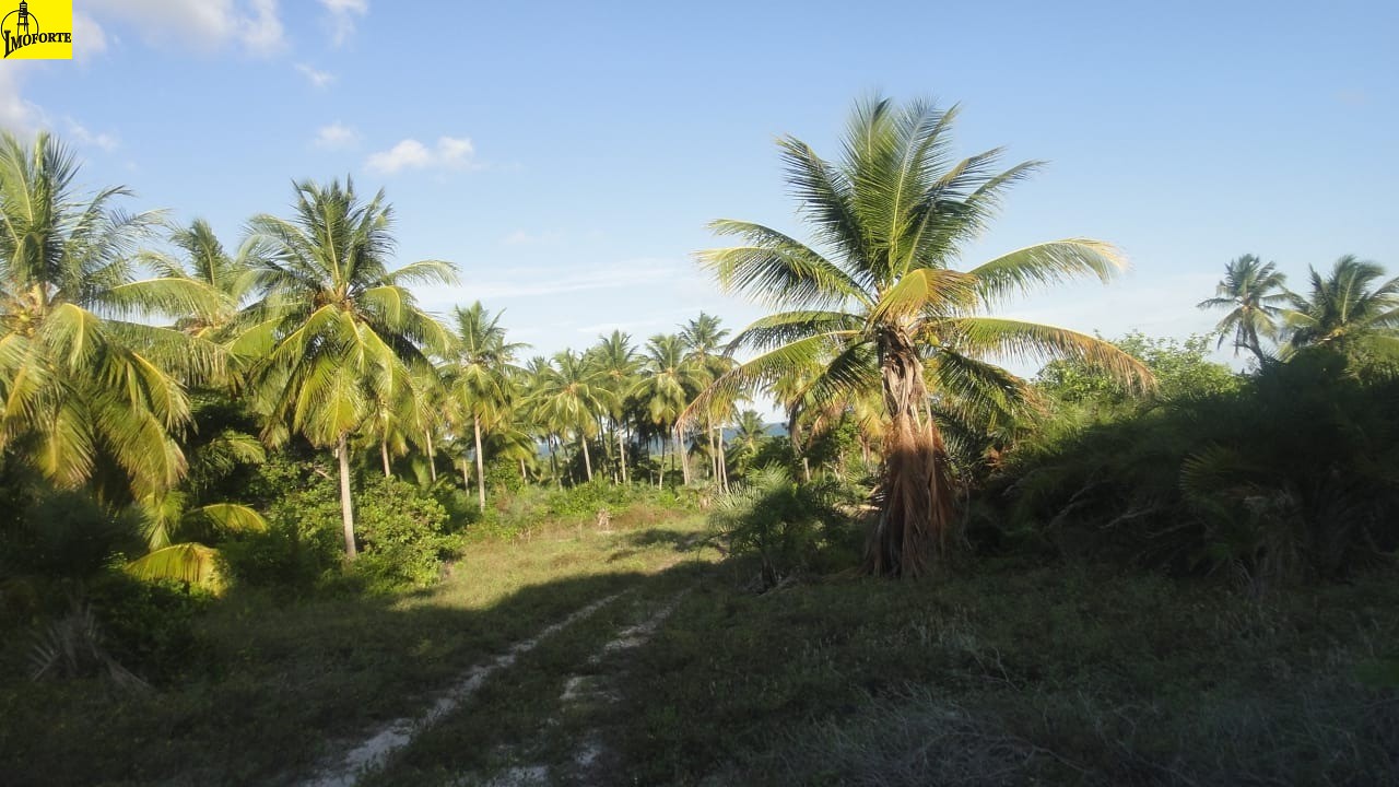 Fazenda à venda, 510m² - Foto 6