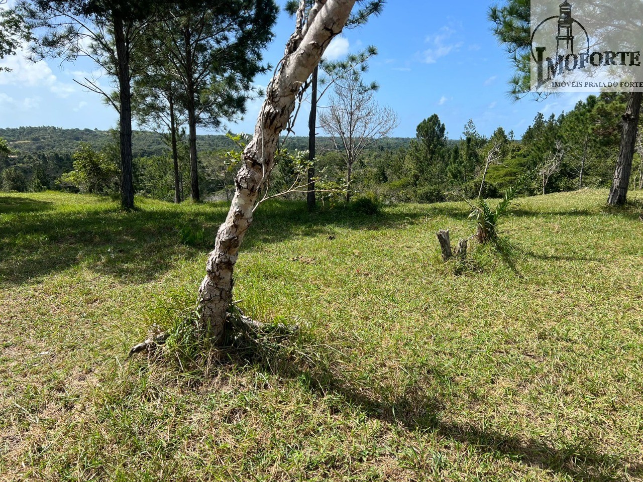 Sítio à venda, 15m² - Foto 26