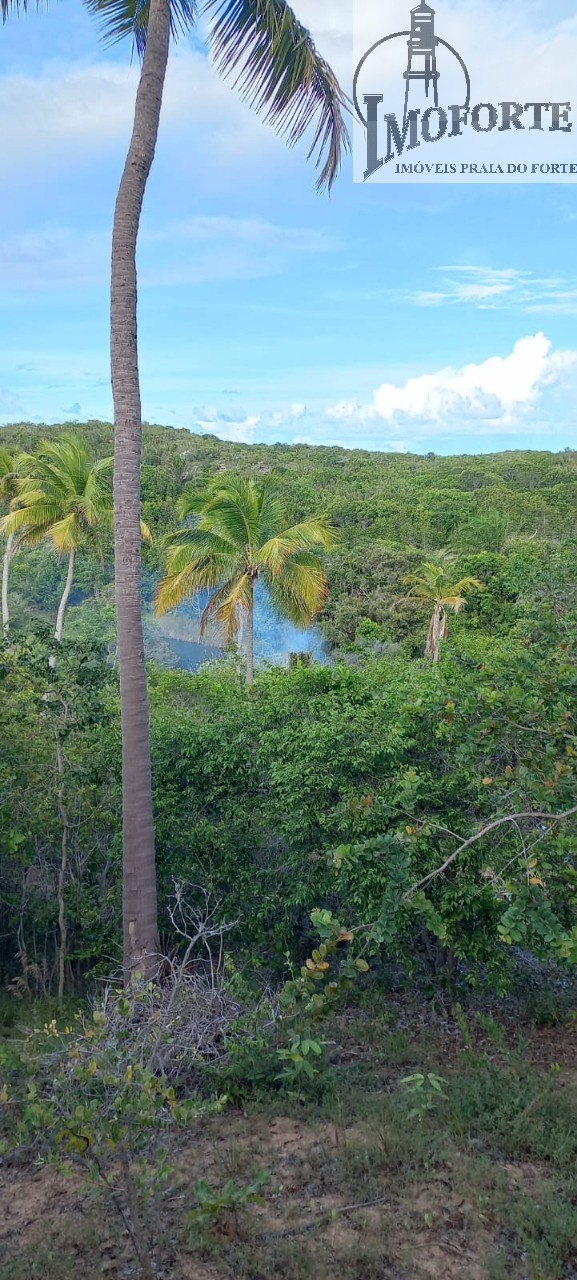 Terreno à venda, 6000m² - Foto 10