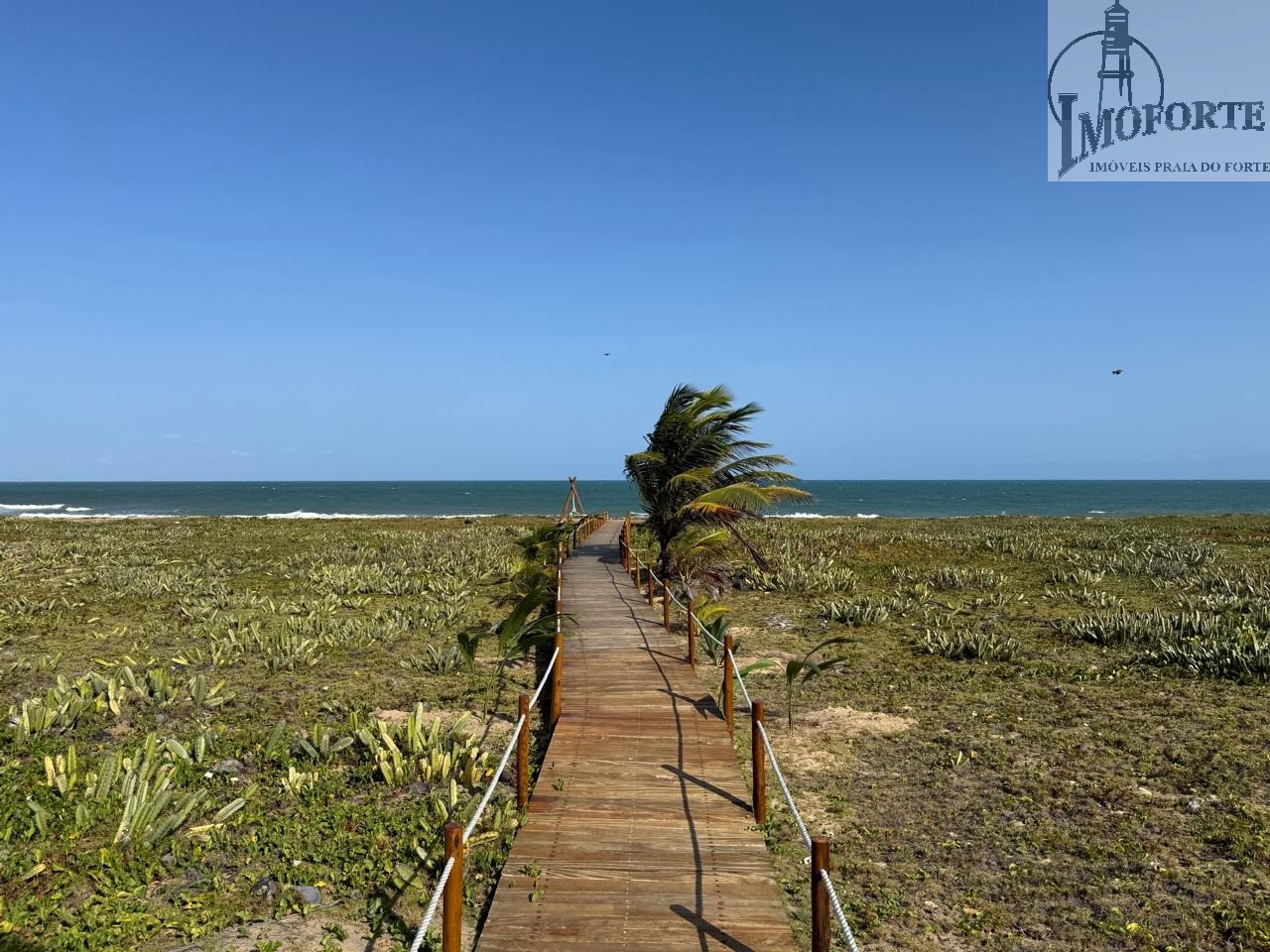 Apartamento, 3 quartos, 121 m² - Foto 7