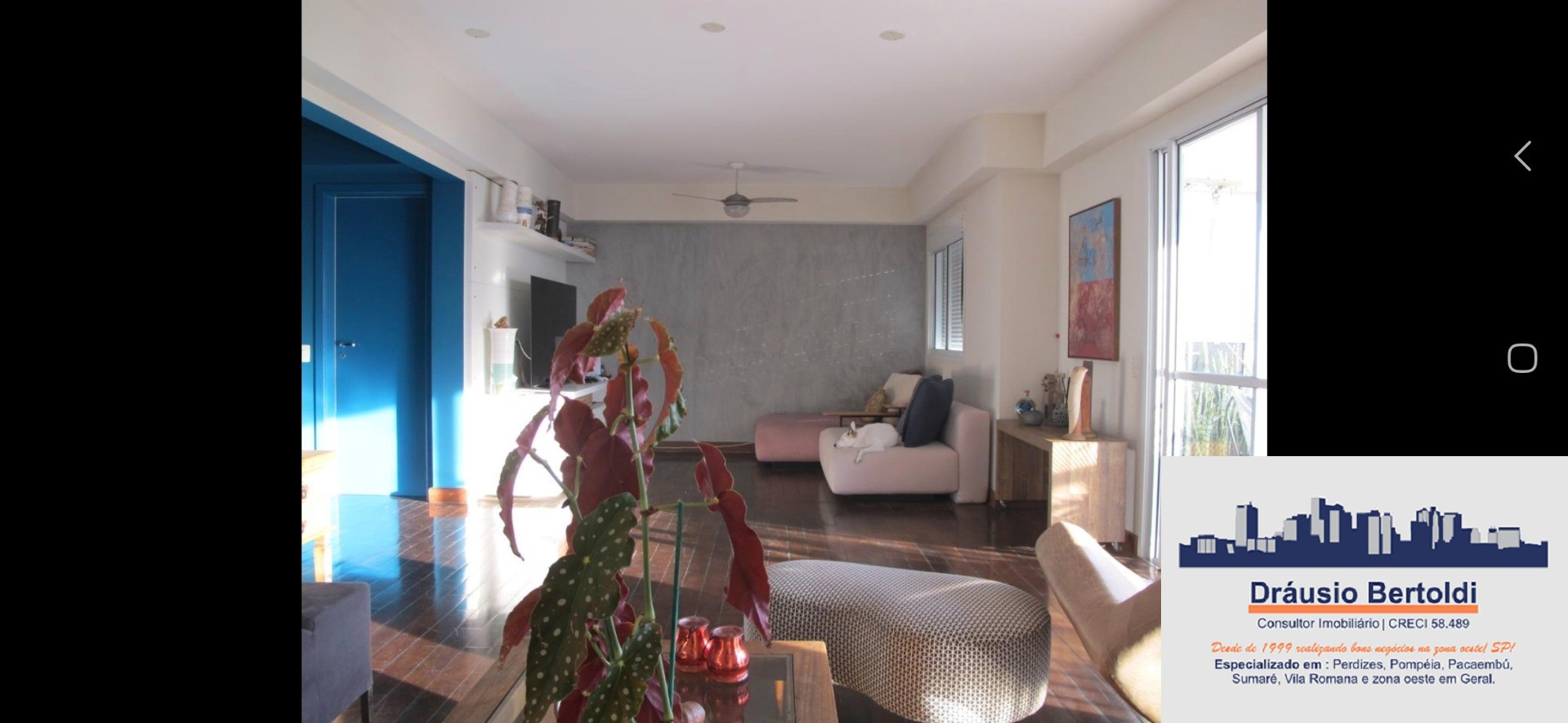 Apartamento, 4 quartos, 180 m² - Foto 9