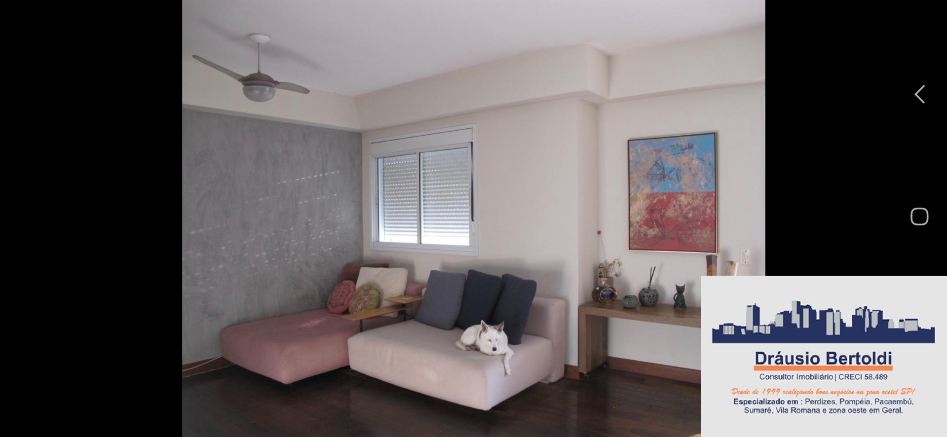 Apartamento, 4 quartos, 180 m² - Foto 5