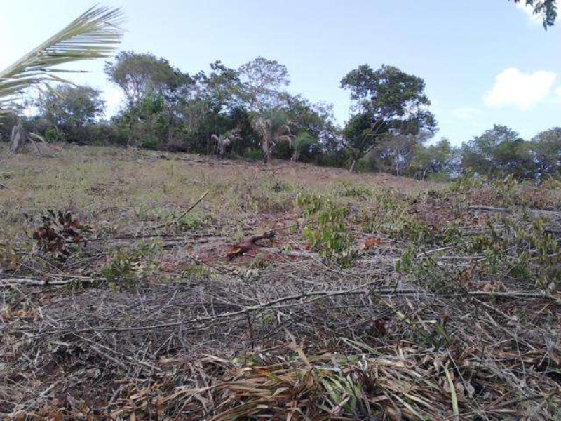 Terreno à venda, 40000m² - Foto 4