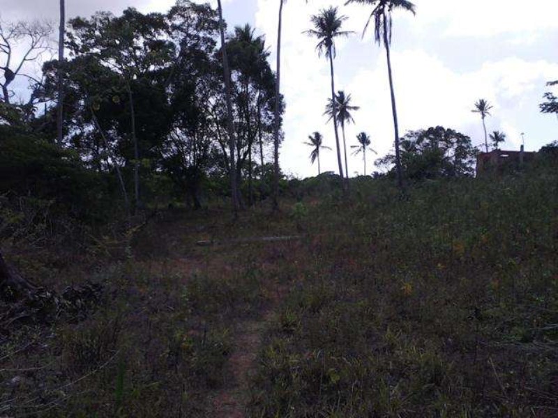 Terreno à venda, 40000m² - Foto 5