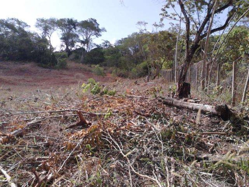 Terreno à venda, 40000m² - Foto 1