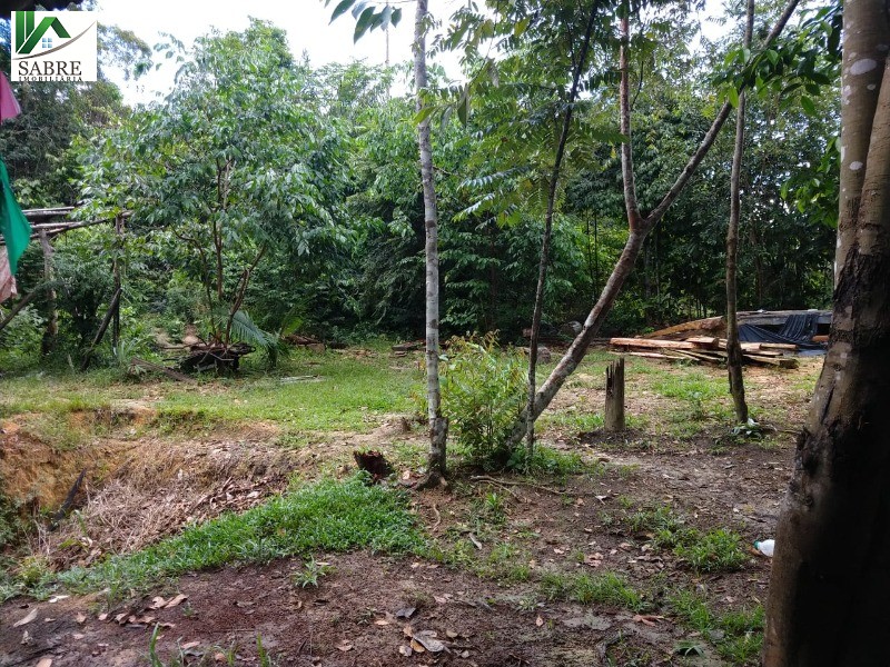 Fazenda à venda com 2 quartos, 60m² - Foto 23