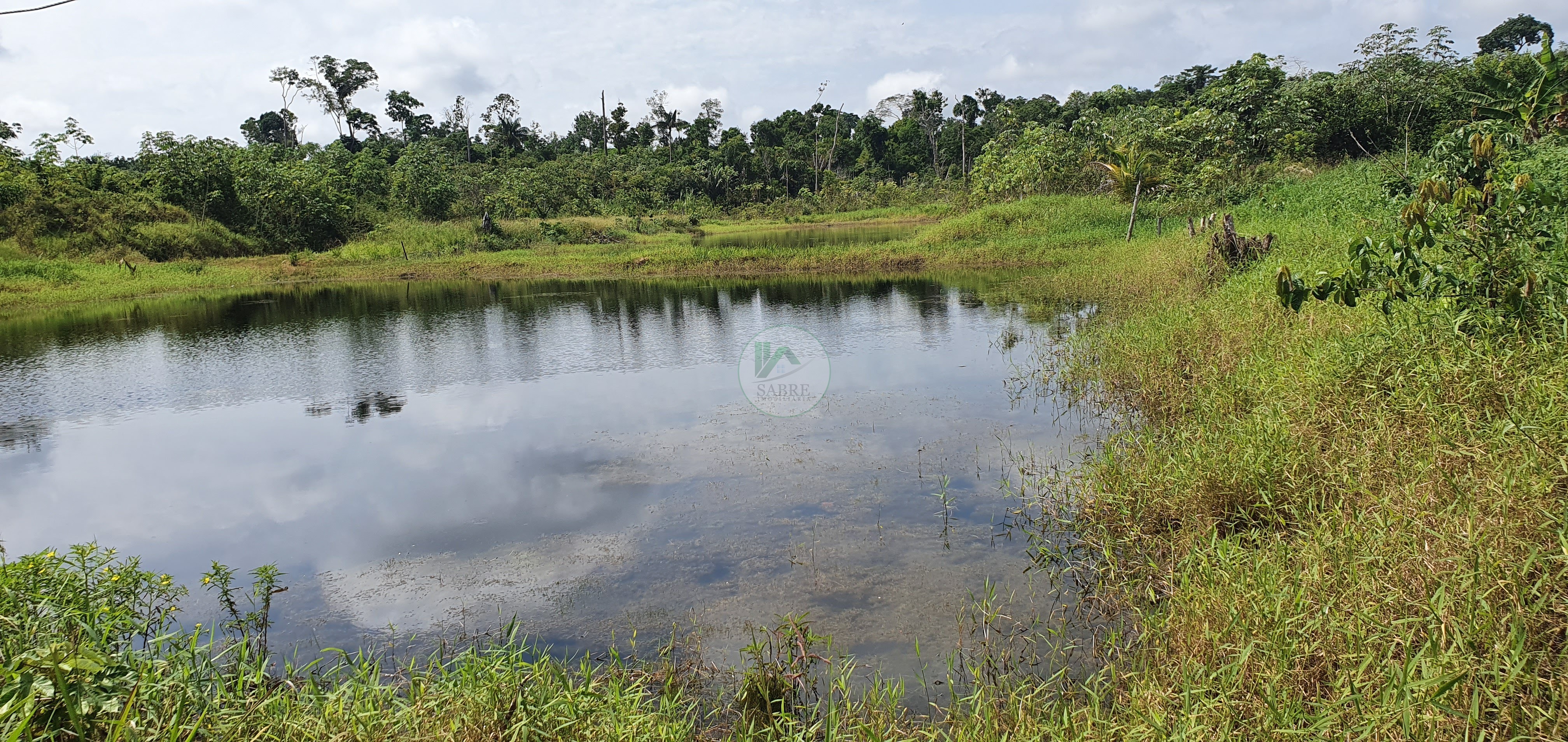 Fazenda à venda, 250000m² - Foto 5