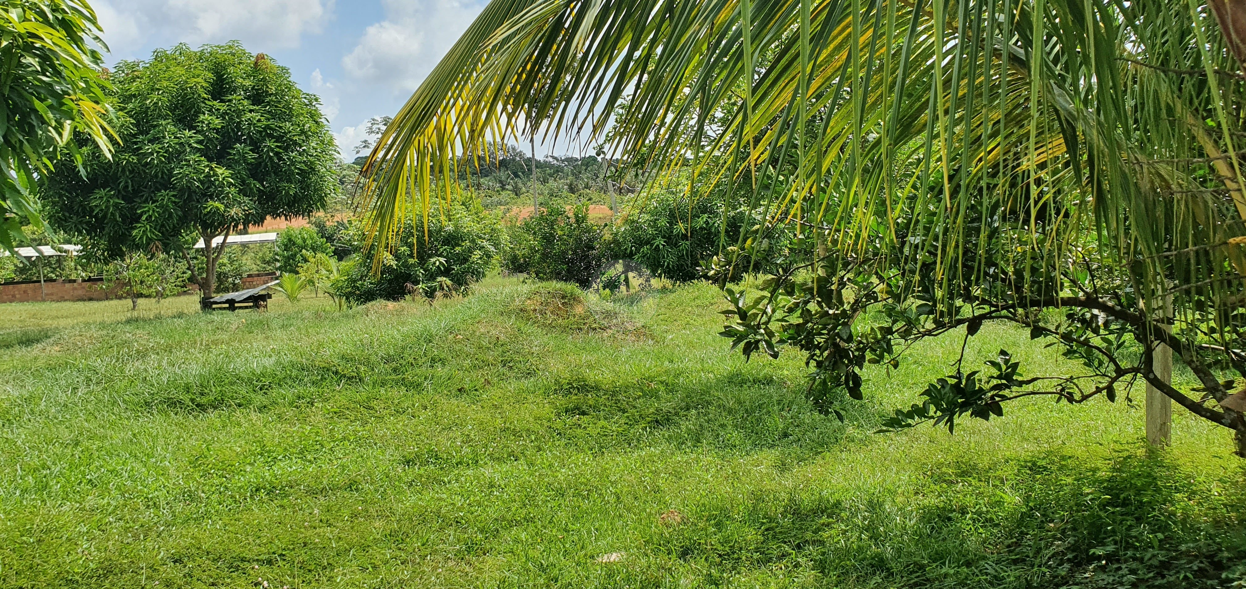 Fazenda à venda, 250000m² - Foto 13