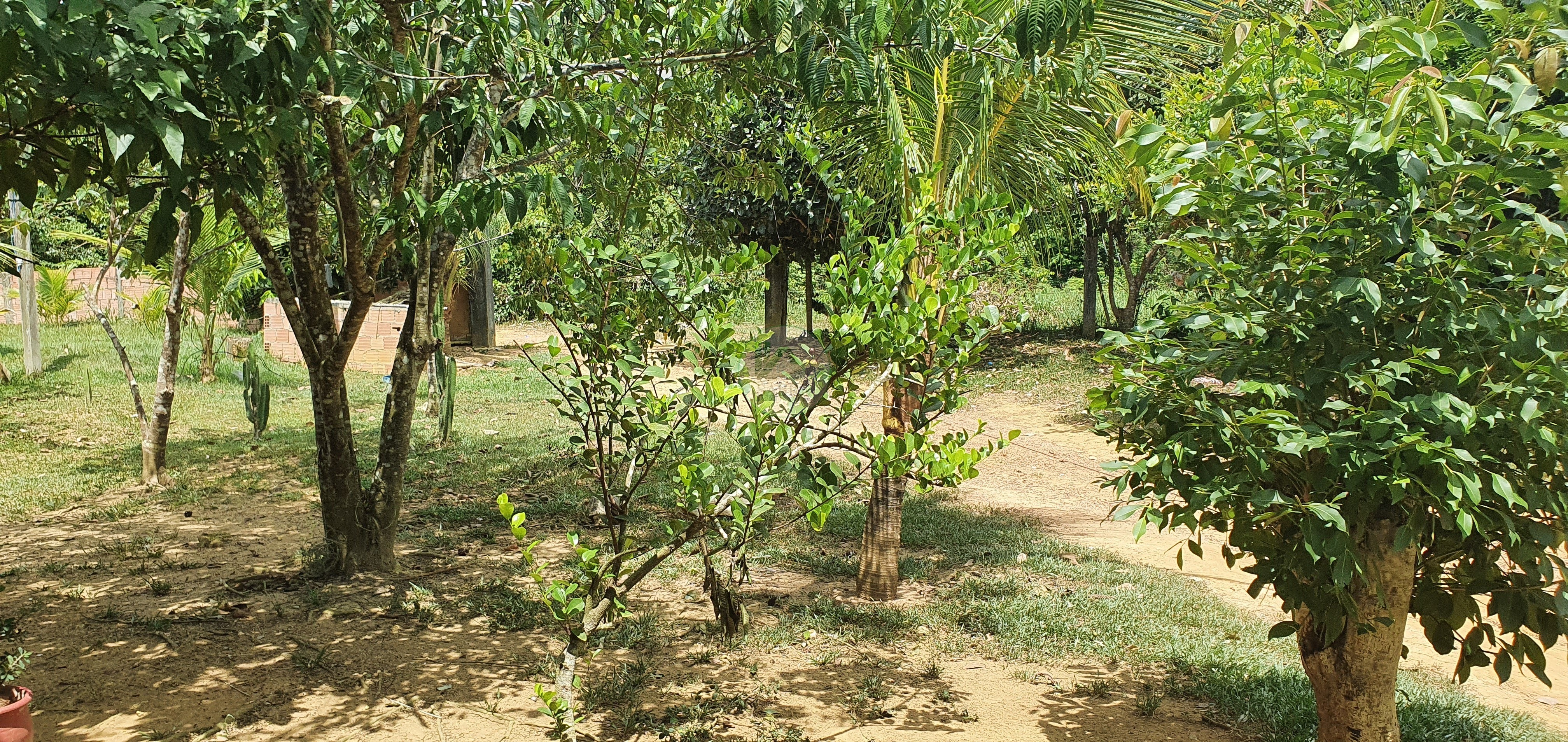 Fazenda à venda, 250000m² - Foto 18