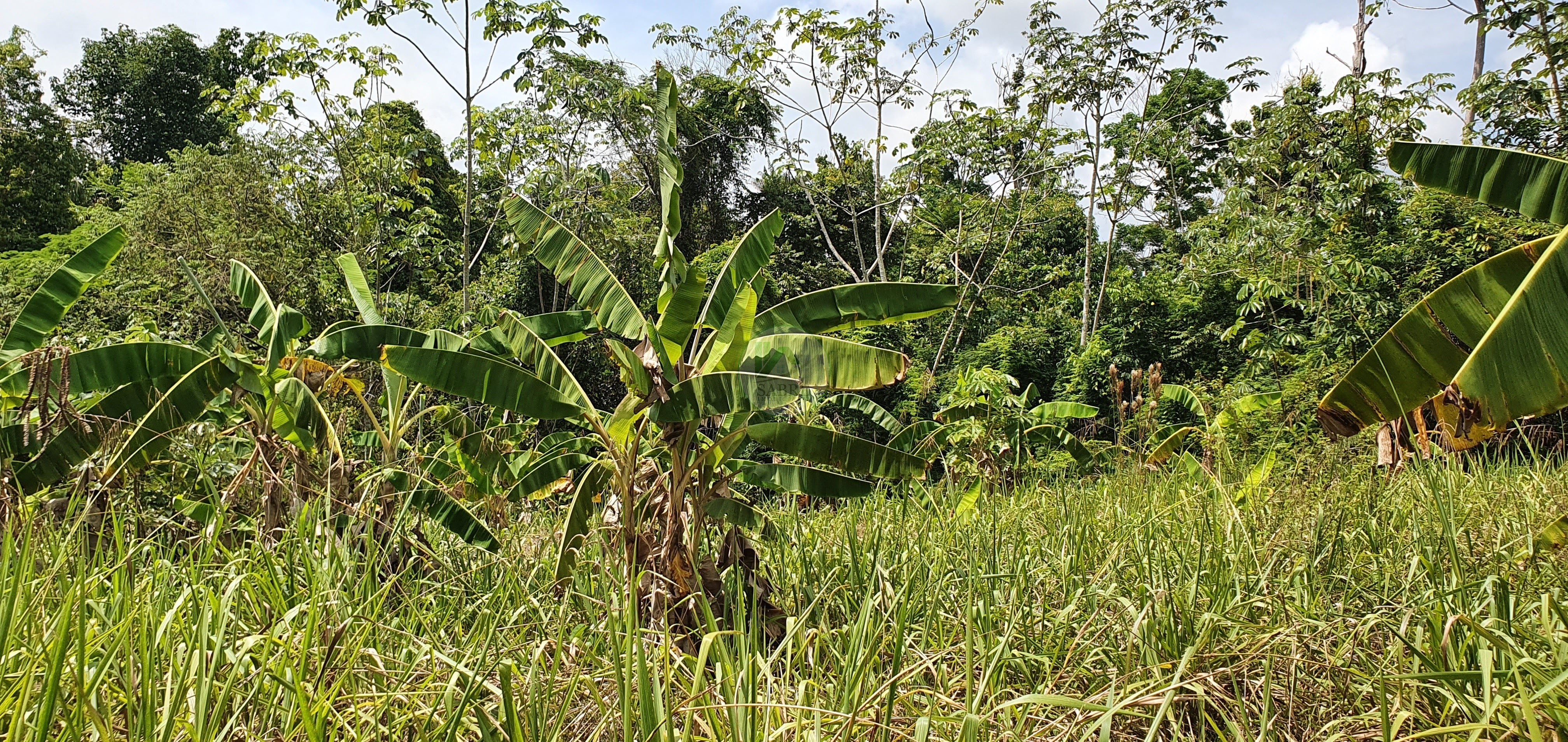 Fazenda à venda, 250000m² - Foto 10