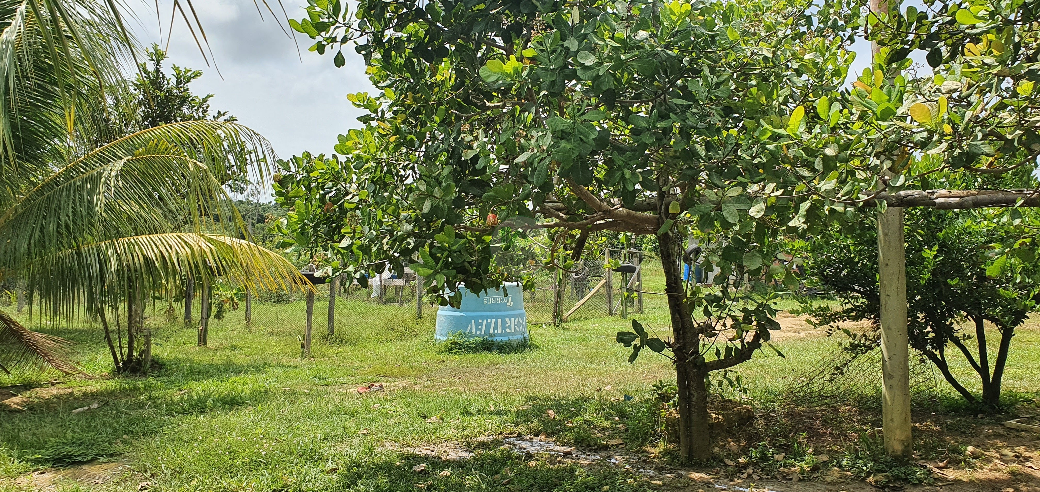 Fazenda à venda, 250000m² - Foto 15