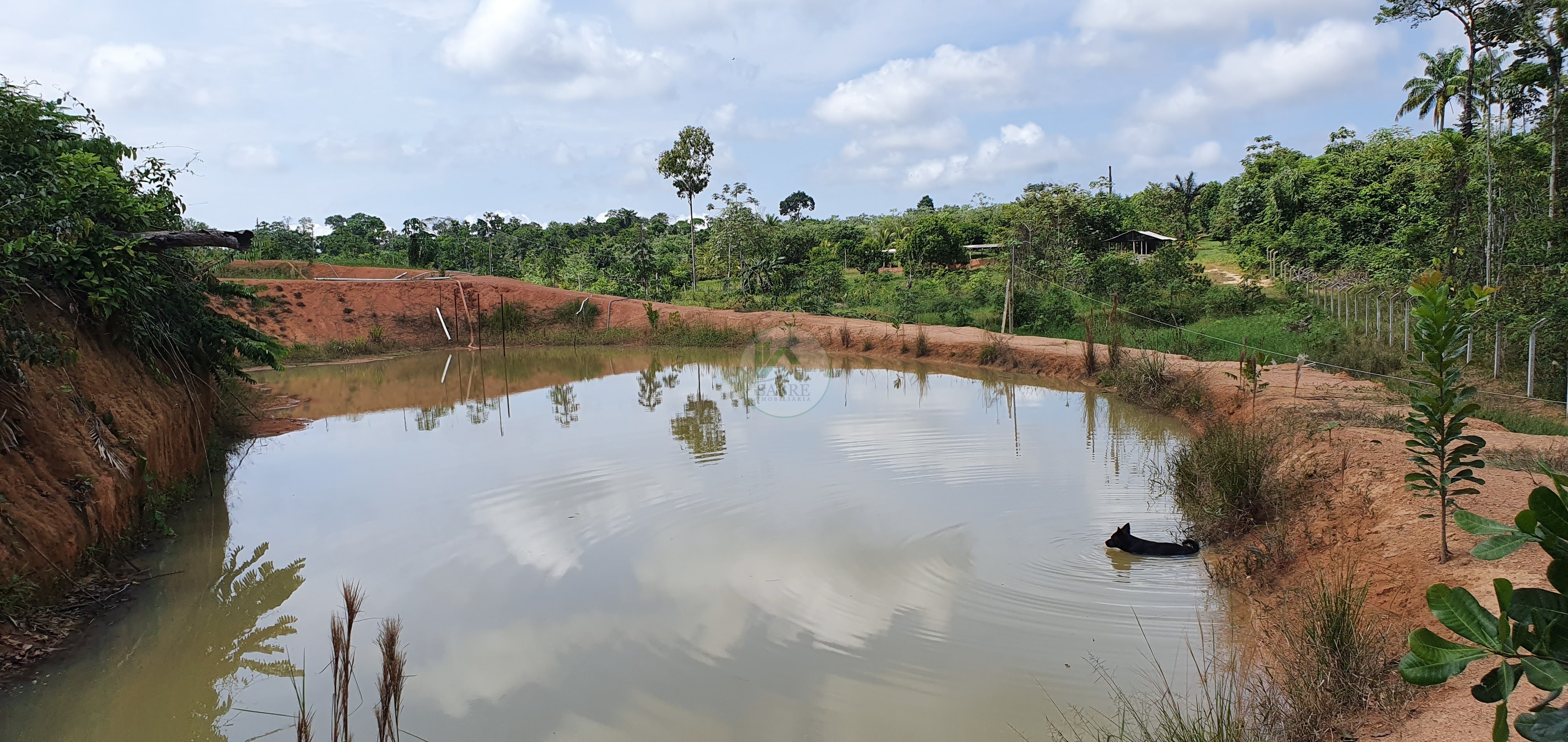 Fazenda à venda, 250000m² - Foto 9