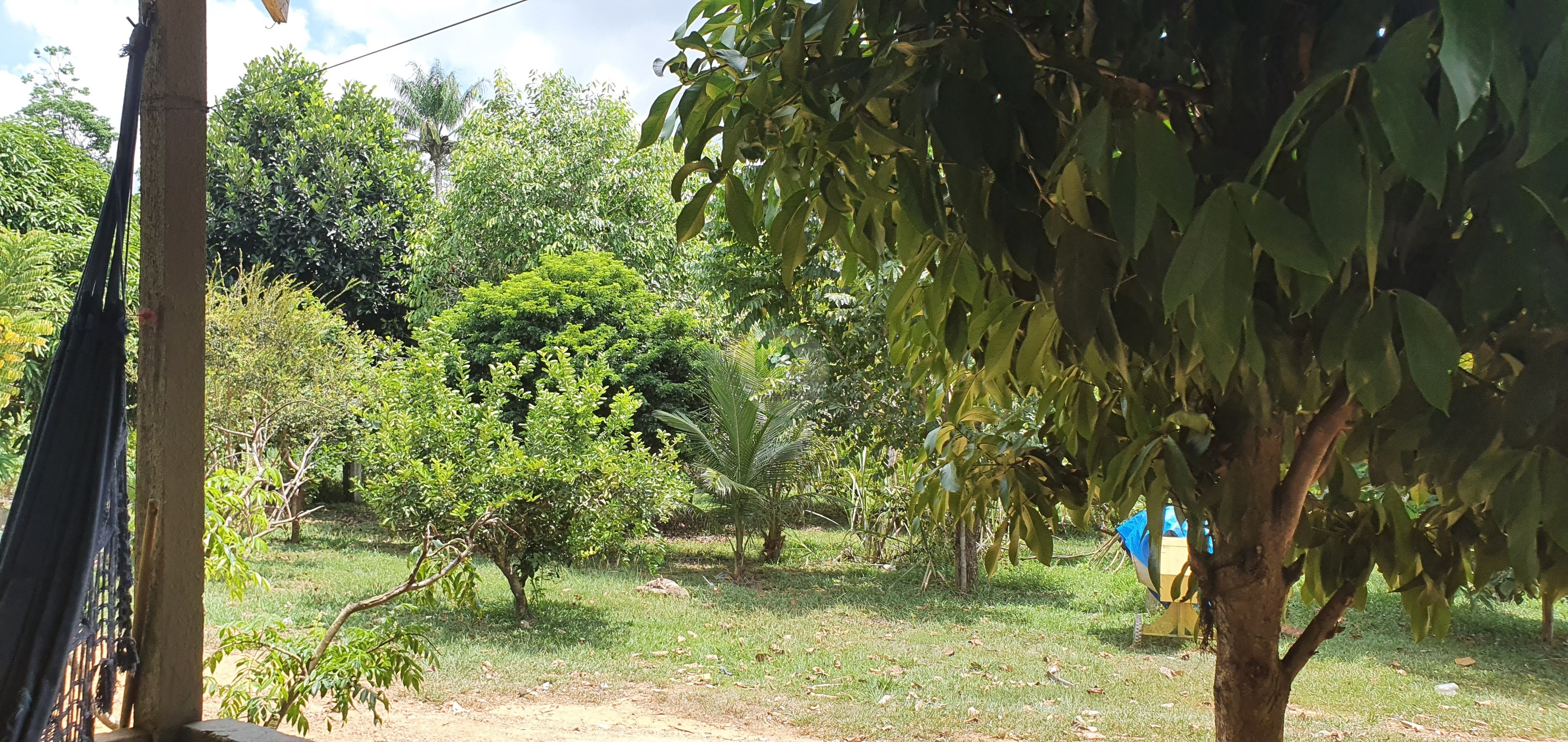 Fazenda à venda, 250000m² - Foto 17