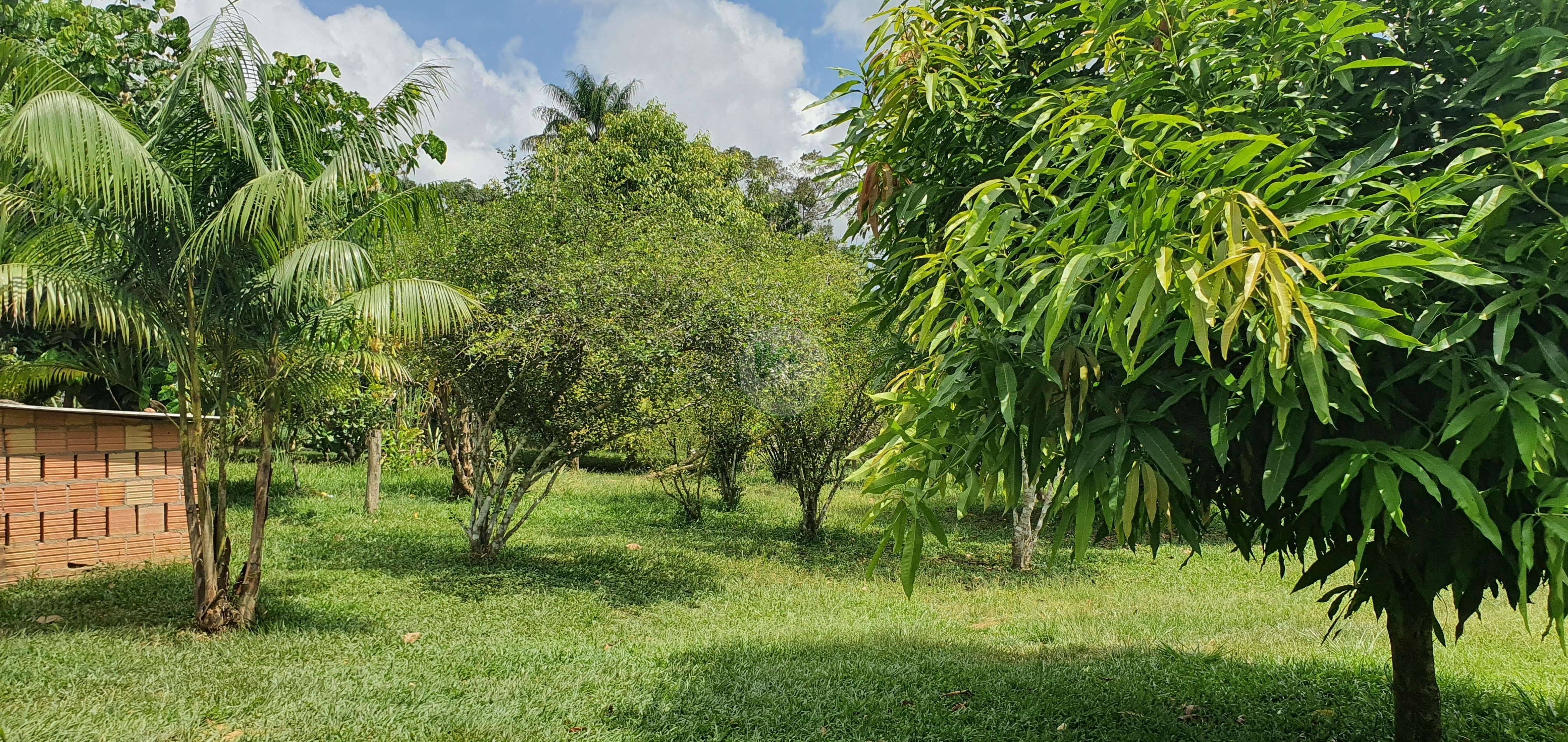 Fazenda à venda, 250000m² - Foto 12