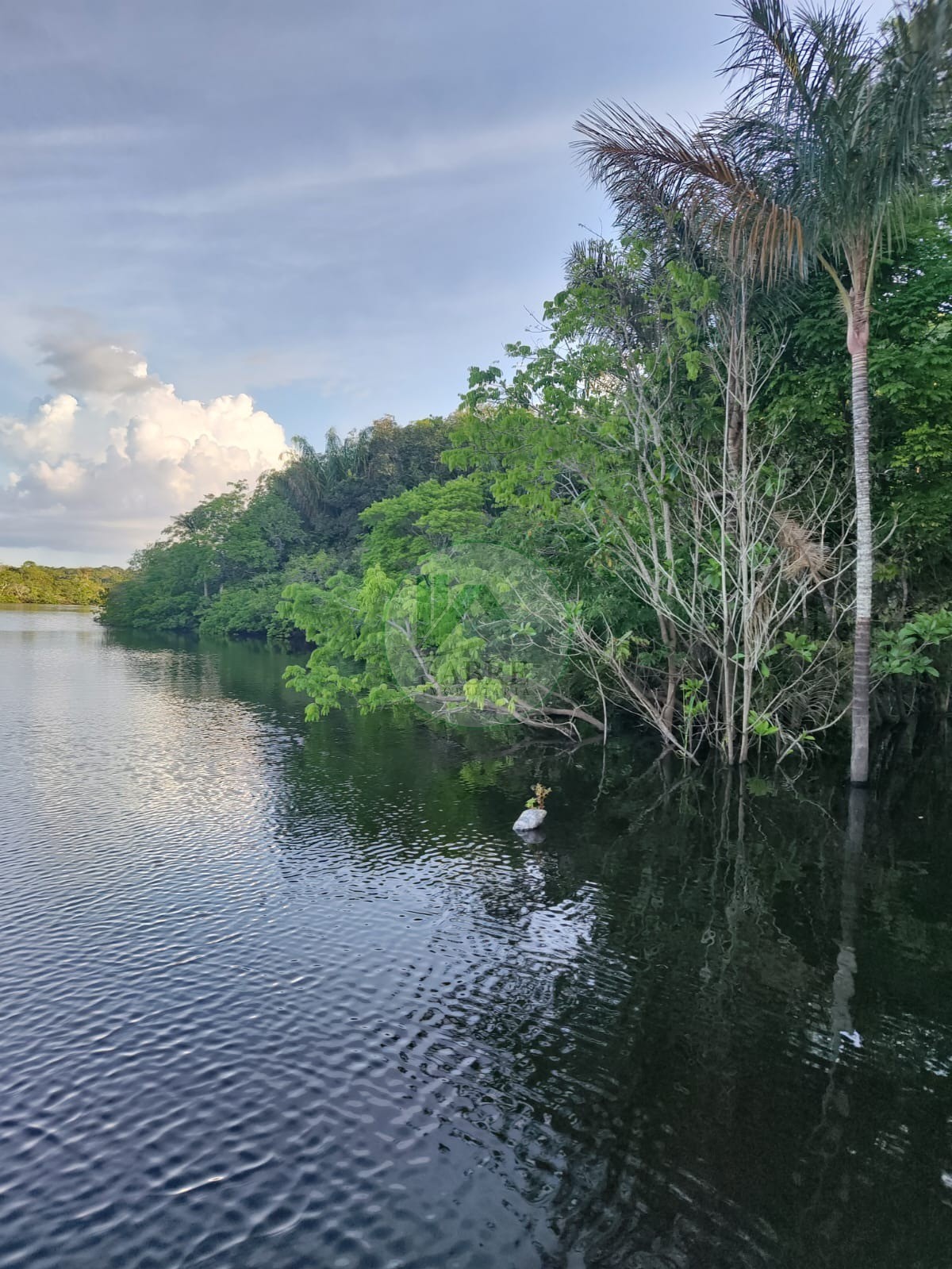 Sítio, 5 quartos, 1425 m² - Foto 9