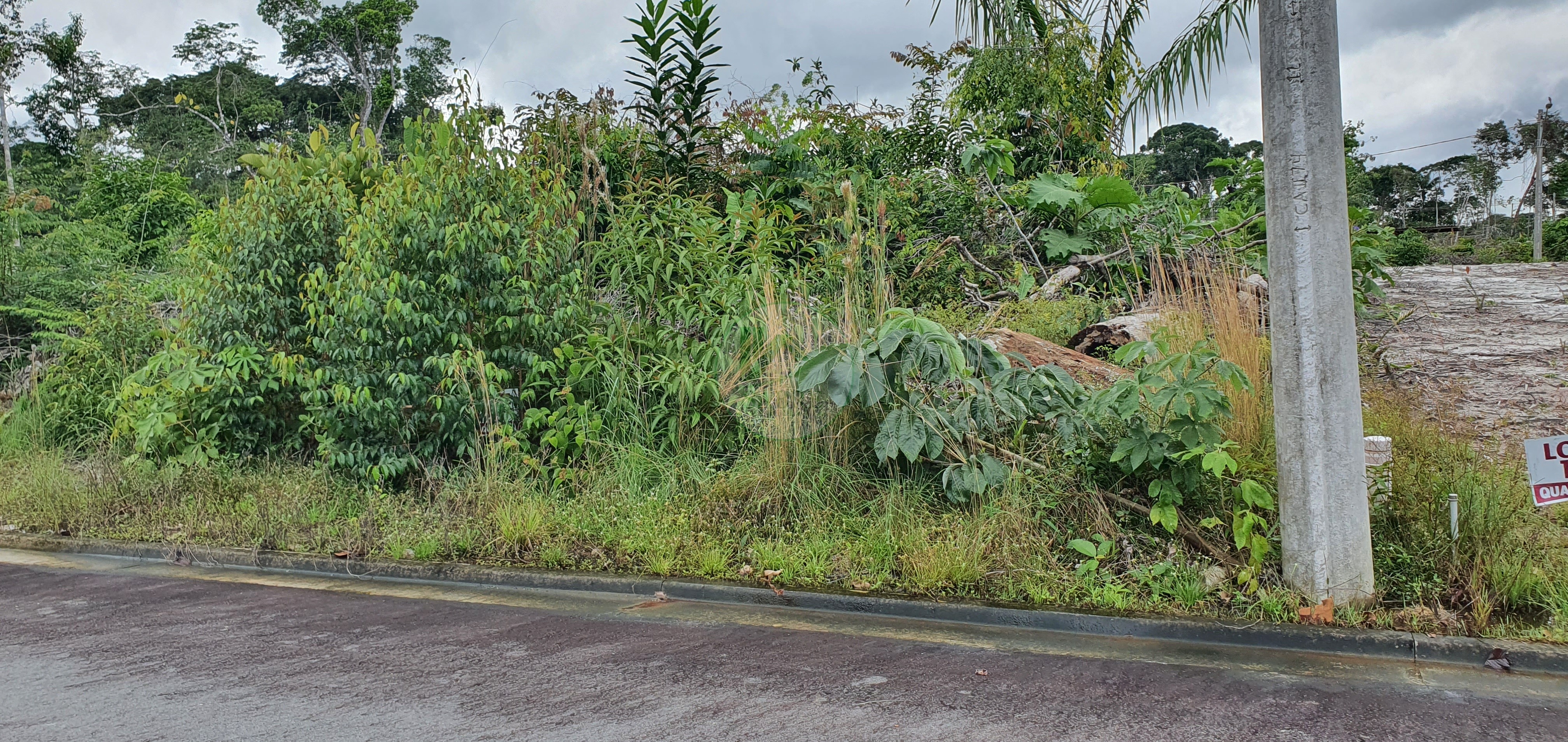 Terreno à venda, 250m² - Foto 2