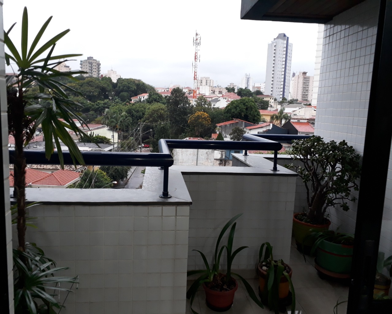 Apartamento à venda com 3 quartos, 220m² - Foto 6