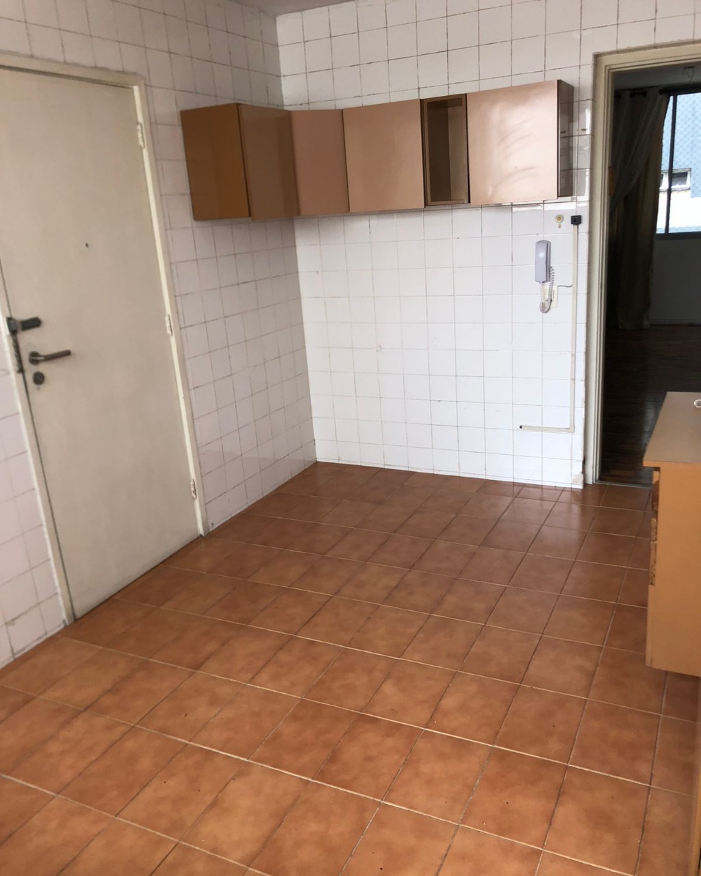 Apartamento para alugar com 3 quartos, 111m² - Foto 7