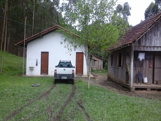 Fazenda à venda com 2 quartos, 10m² - Foto 7