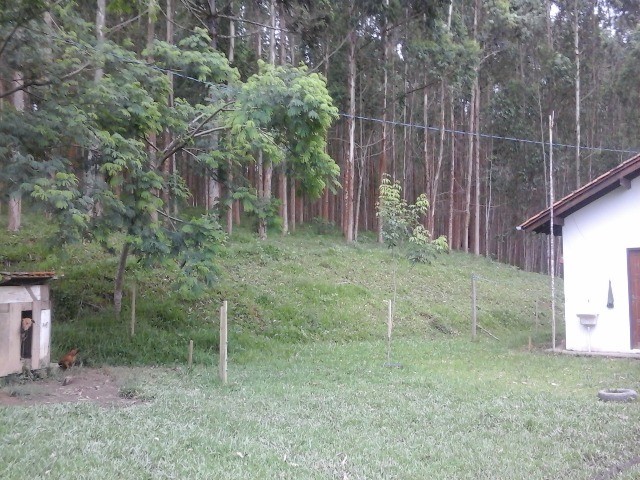 Fazenda à venda com 2 quartos, 10m² - Foto 8