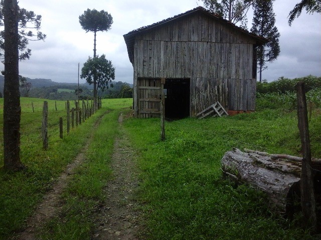 Fazenda à venda com 2 quartos, 10m² - Foto 9