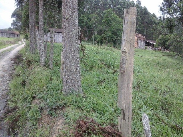 Fazenda à venda com 2 quartos, 10m² - Foto 11