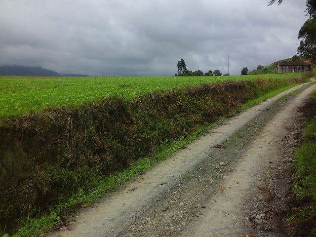 Fazenda à venda com 2 quartos, 10m² - Foto 12