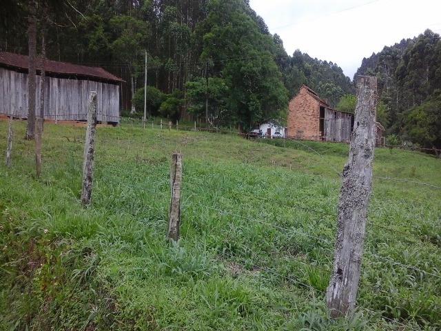 Fazenda à venda com 2 quartos, 10m² - Foto 13