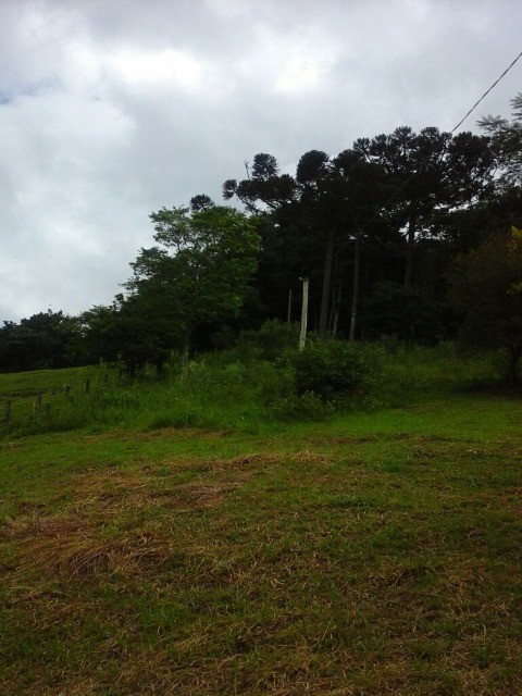 Fazenda à venda com 3 quartos, 2m² - Foto 5