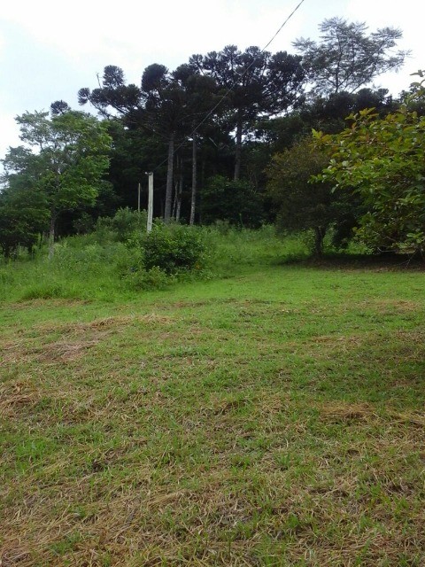 Fazenda à venda com 3 quartos, 2m² - Foto 6