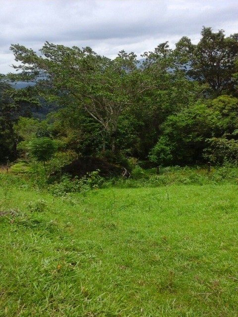 Fazenda à venda com 3 quartos, 2m² - Foto 8