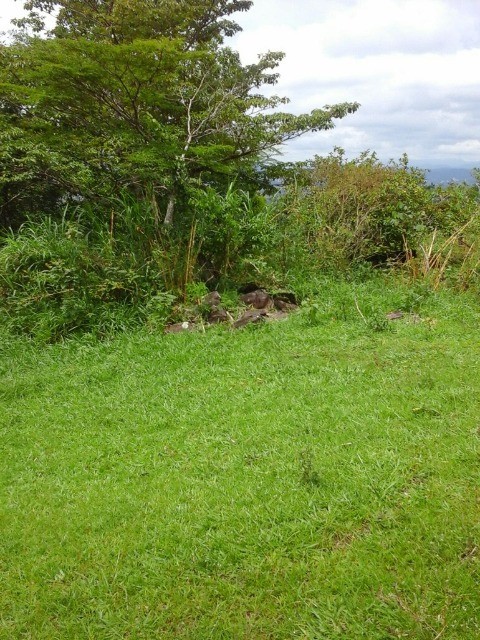 Fazenda à venda com 3 quartos, 2m² - Foto 11